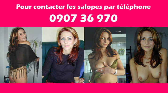 numero telephone rencontre gratuit